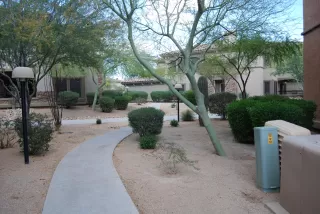 Photo #1: 6299888 Listing 