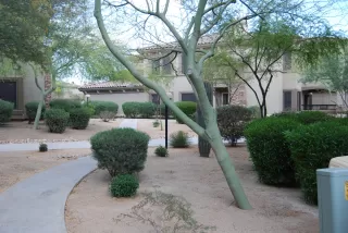 Photo #4: 6299888 Listing 