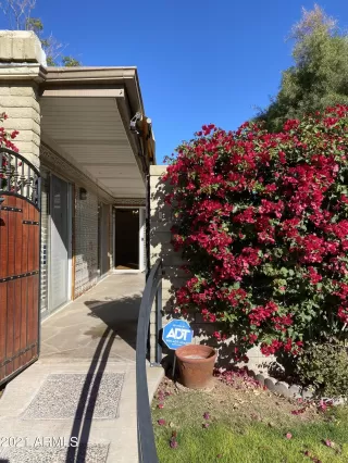 Photo #1: 6300464 Listing 