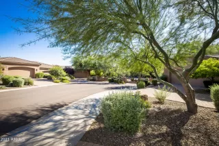 Photo #1: 6306723 Listing