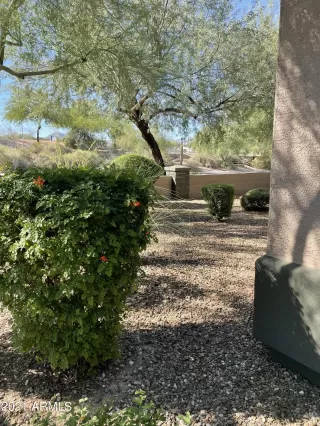 Photo #5: 6309430 Listing 