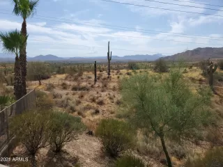 Photo #4: 6310533 Listing 