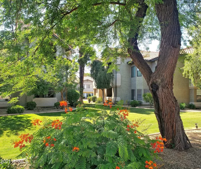 MLS: 6311753 Condo For Sale