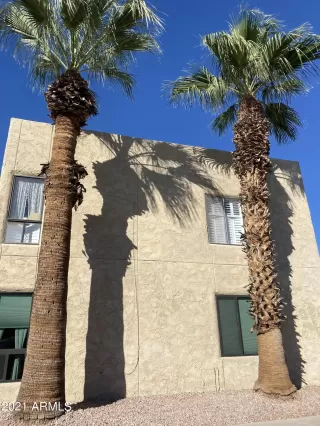 Photo #6: 6313851 Listing