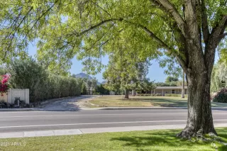 Photo #1: 6315938 Listing