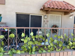 Photo #1: 6316354 Listing