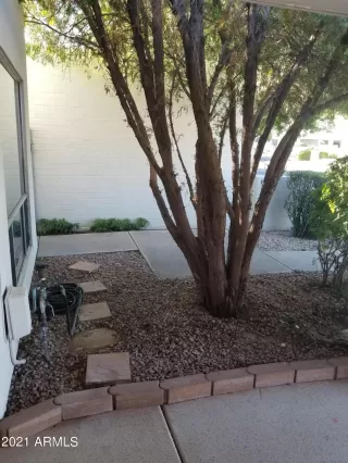 Photo #2: 6317786 Listing 