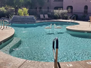 Photo #4: 6323183 Listing 