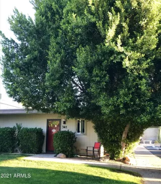 Photo #1: 6325280 Listing 