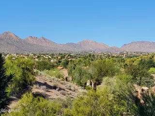 Photo #1: 6325308 Listing