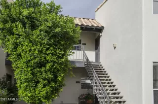 Photo #1: 6330443 Listing