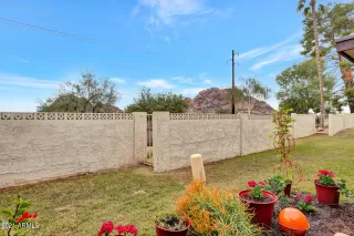 Photo #4: 6333526 Listing 