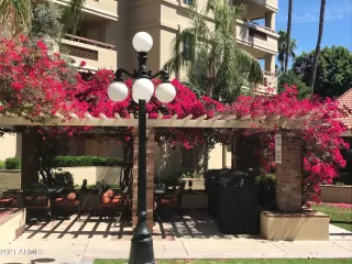 Photo #5: 6341251 Listing 