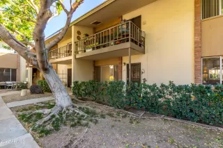 Photo #1: 6347398 Listing