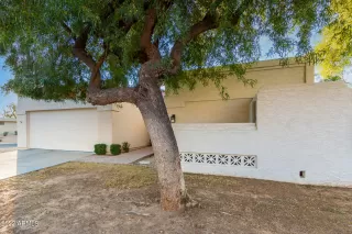 Photo #1: 6348853 Listing