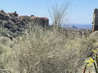 Photo #1: 6352647 Listing