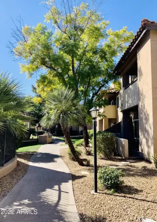 Photo #3: 6352904 Listing