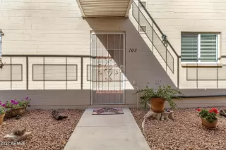 Photo #1: 6356880 Listing