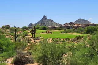 Photo #1: 6357714 Listing