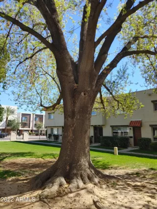 Photo #1: 6362454 Listing 