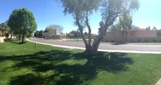 Photo #3: 6362970 Listing