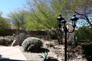 Photo #5: 6366655 Listing