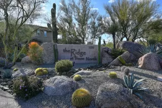 Photo #3: 6368376 Listing