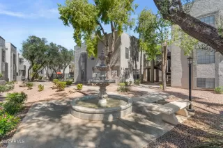 Photo #1: 6368779 Listing