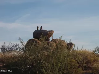 Photo #5: 6373421 Listing