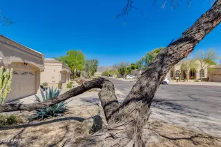 Photo #2: 6373619 Listing