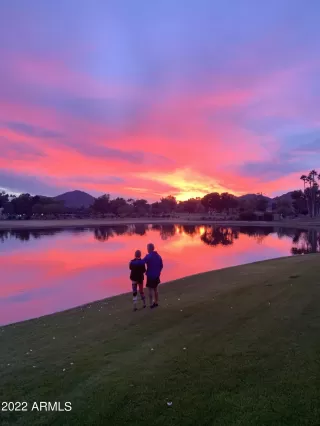 Photo #1: 6378544 Listing