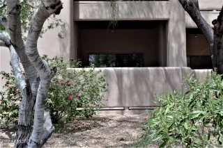 Photo #2: 6378695 Listing