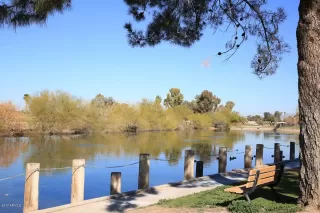 Photo #4: 6379648 Listing