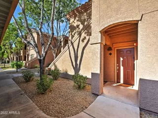 Photo #1: 6381296 Listing