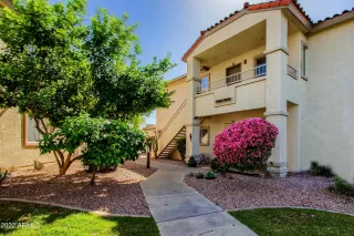 Photo #5: 6381462 Listing