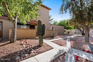 Photo #1: 6382490 Listing