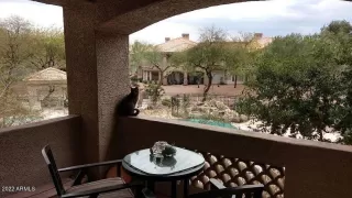 Photo #5: 6385109 Listing