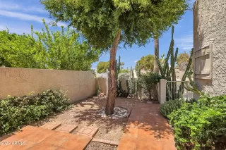 Photo #4: 6391705 Listing