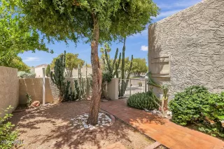 Photo #5: 6391705 Listing