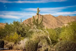 Photo #1: 6394729 Listing