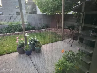 Photo #1: 6394767 Listing 