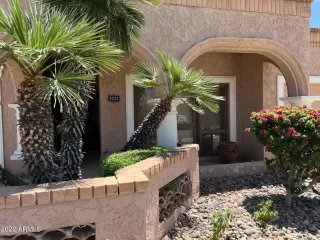 Photo #1: 6395539 Listing