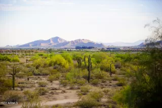 Photo #4: 6402977 Listing