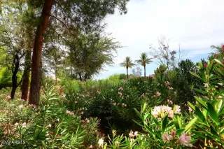 Photo #5: 6407661 Listing 