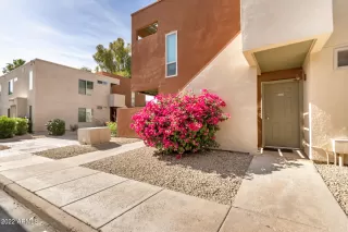 Photo #1: 6408456 Listing