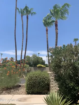 Photo #4: 6417153 Listing 