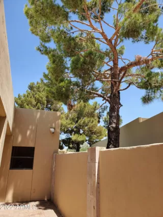 Photo #6: 6419800 Listing 