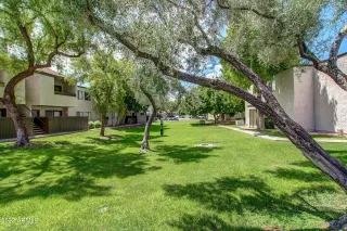 Photo #1: 6440034 Listing 