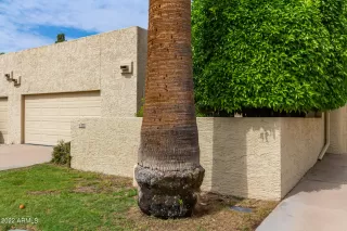 Photo #1: 6441183 Listing