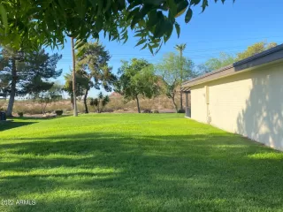 Photo #5: 6444463 Listing 